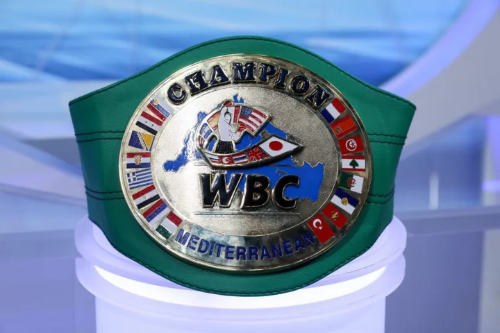 Marko Nikolic WBC šampion Mediterana